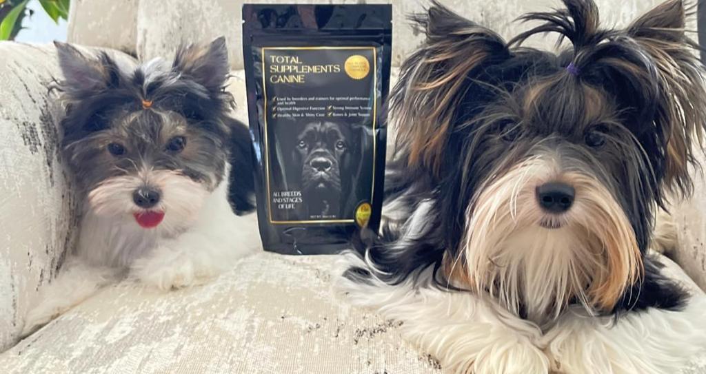 Total Supplements Canine, Best supplements for dogs, dogs supplements, vitamins & minerals for dogs, healthy dogs
