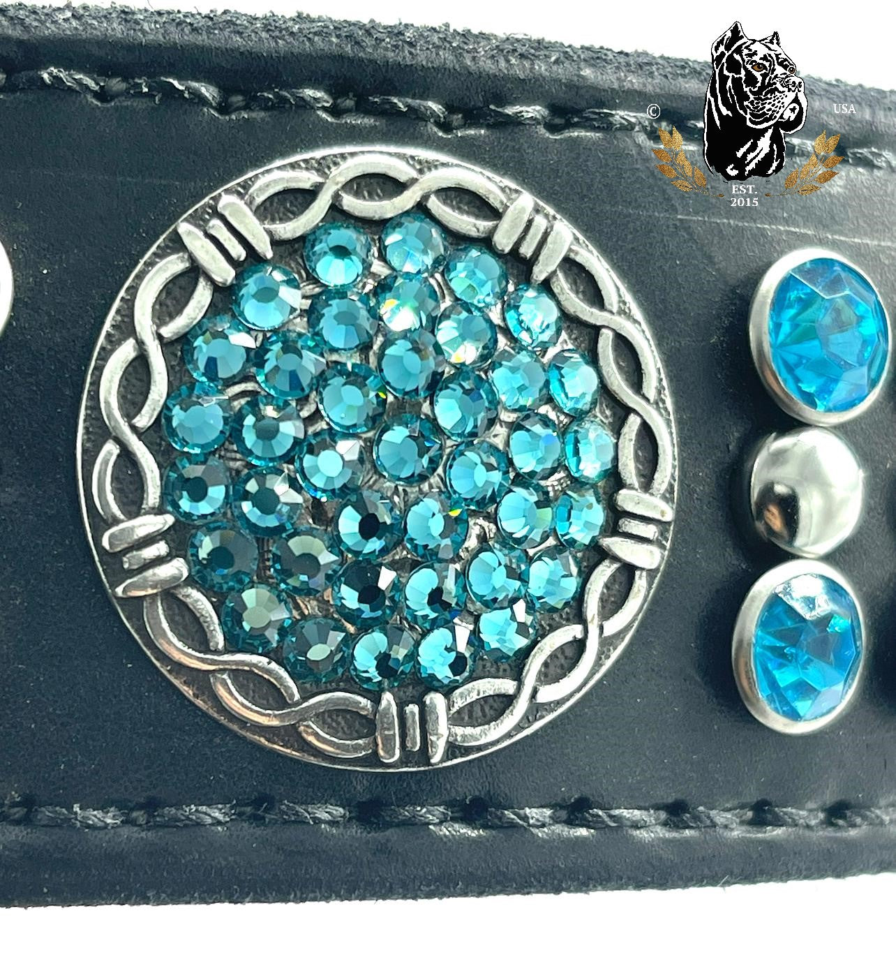 Aquamarine Blue Dog Collar